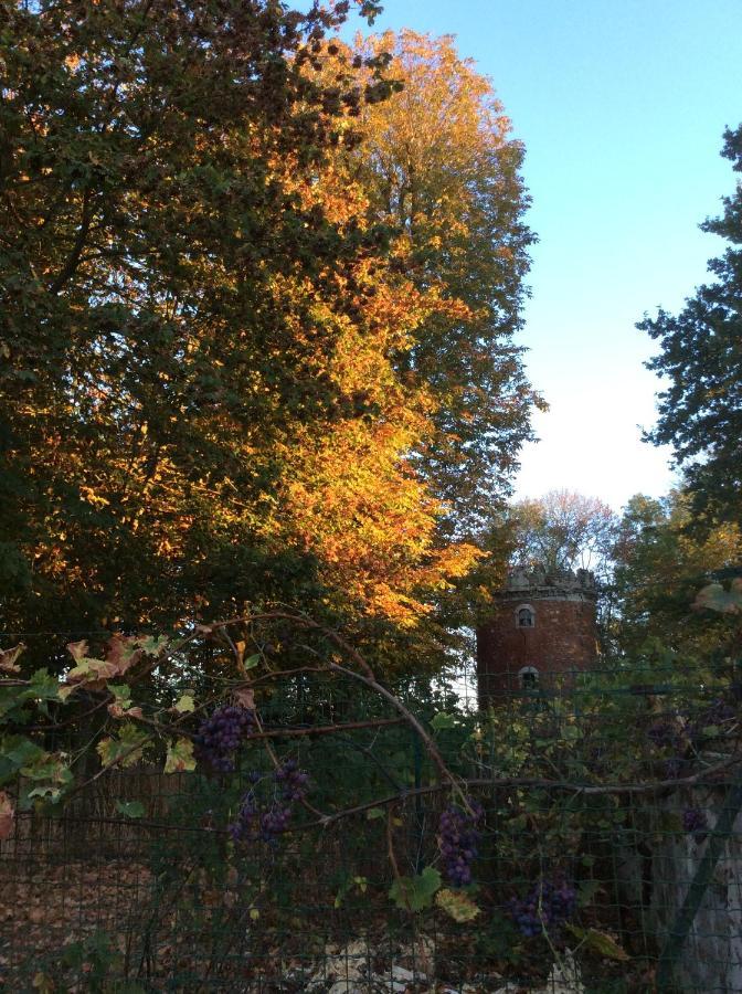 L'Orme Des Voyageurs Bed and Breakfast Boutigny Eksteriør billede