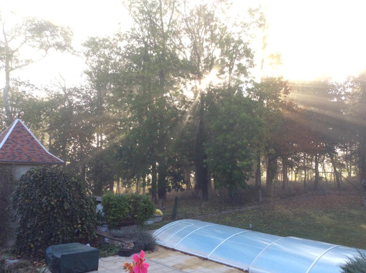 L'Orme Des Voyageurs Bed and Breakfast Boutigny Eksteriør billede
